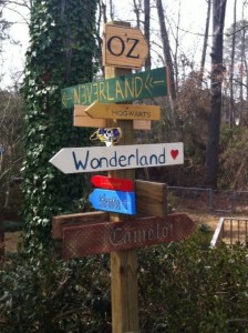 one of our many yard projects