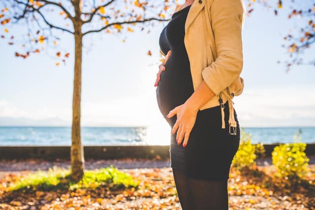 what to expect at 2 months pregnant with twins