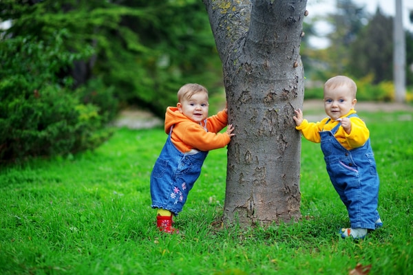 what are old wives tales about twins and are they true