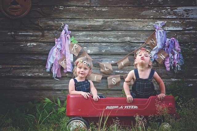 Twins on a wagon